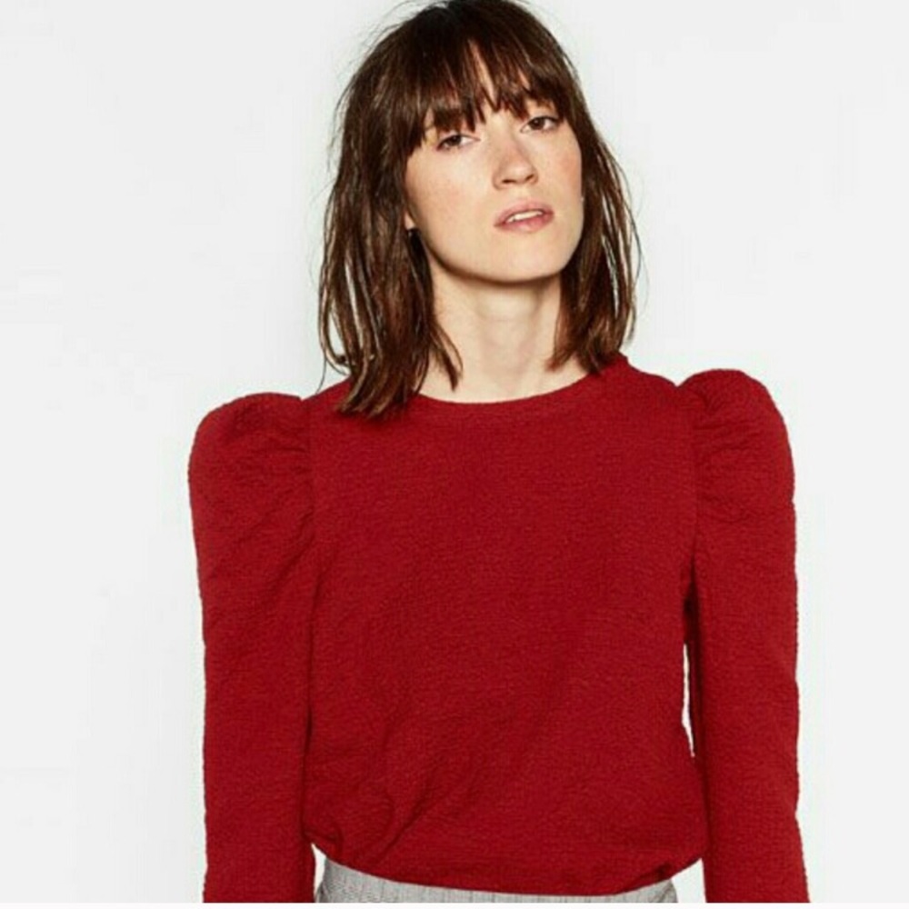 ZARA NWOT Wide ruffle sleeve top